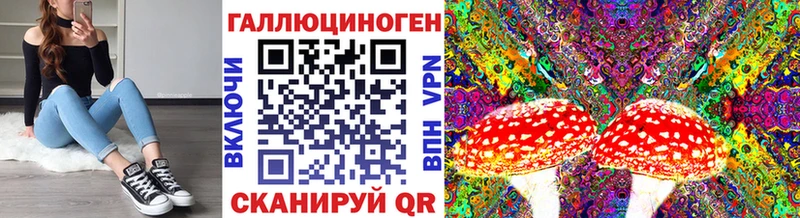 Купить закладки  Заволжье  Псилоцибиновые грибы Psilocybe 